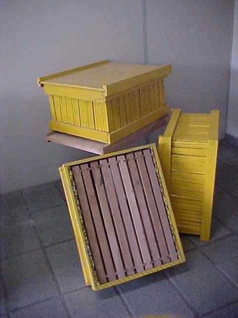 Componentes da colmeia de carnaúba
